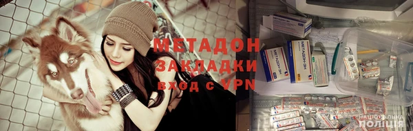 PSILOCYBIN Алзамай