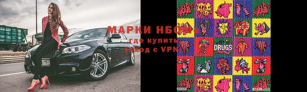 PSILOCYBIN Алзамай
