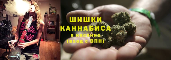 PSILOCYBIN Алзамай